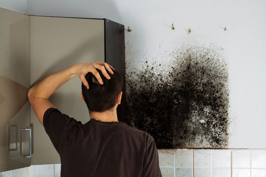 51674192 - man shocked to mold a kitchen cabinet.